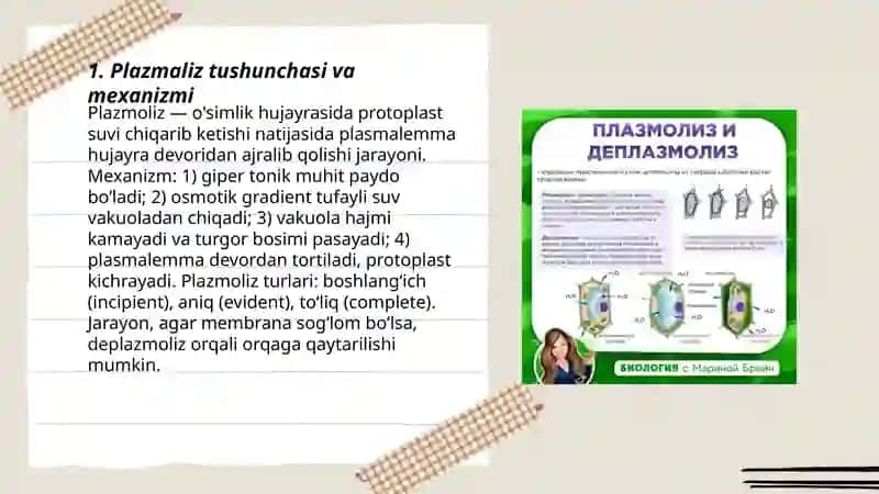 Oʻsimlik hujayrasida plazmaliz, deplazmoliz va turgor hodisasi 3