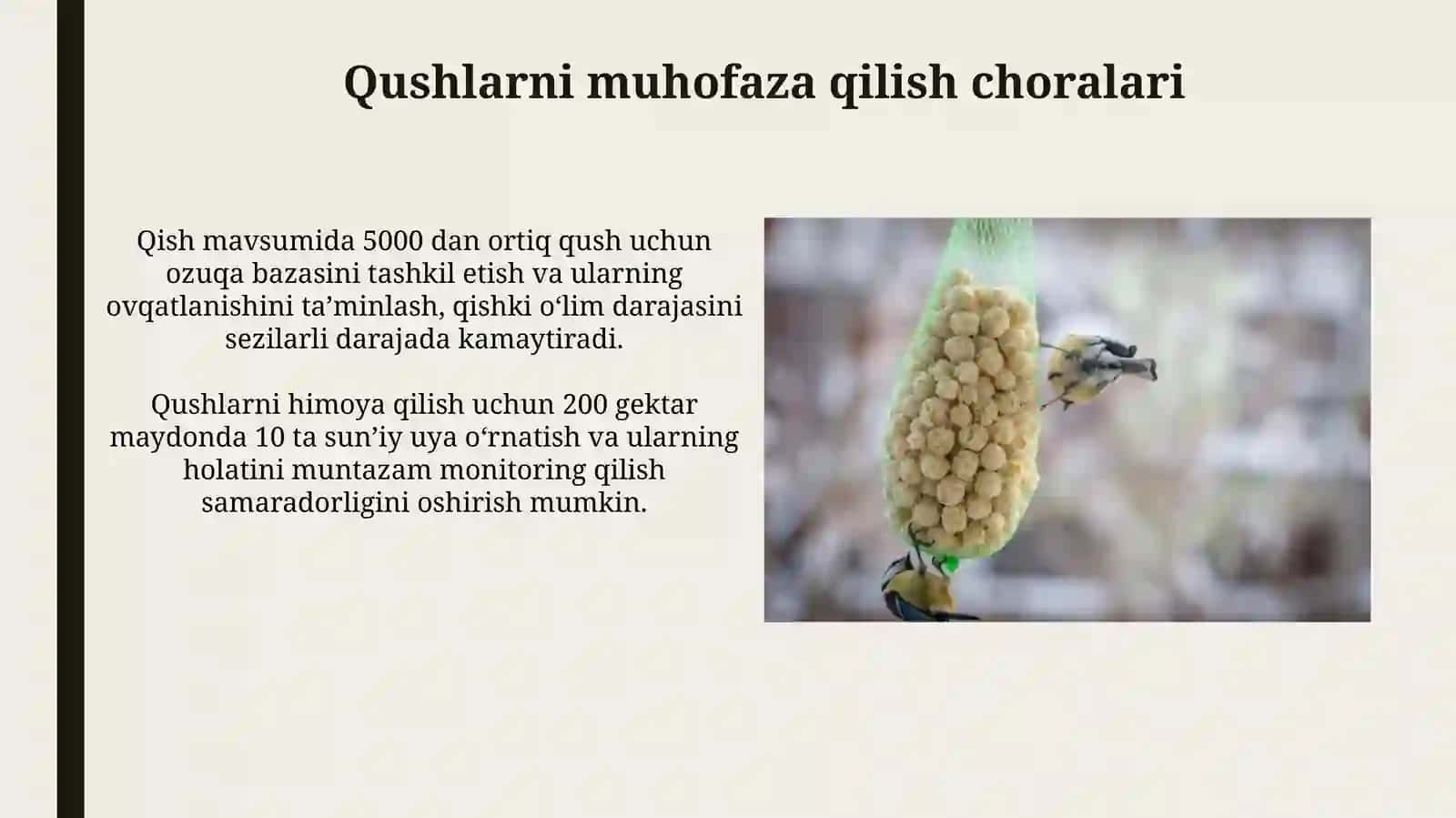 Qushlar va qishloq xoʻjaligi ekinlari hosildorligi bilan bo'gliq muammolar tahlili 3