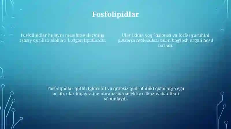 Sovunlanadigan Murakkab Lipidlar 3