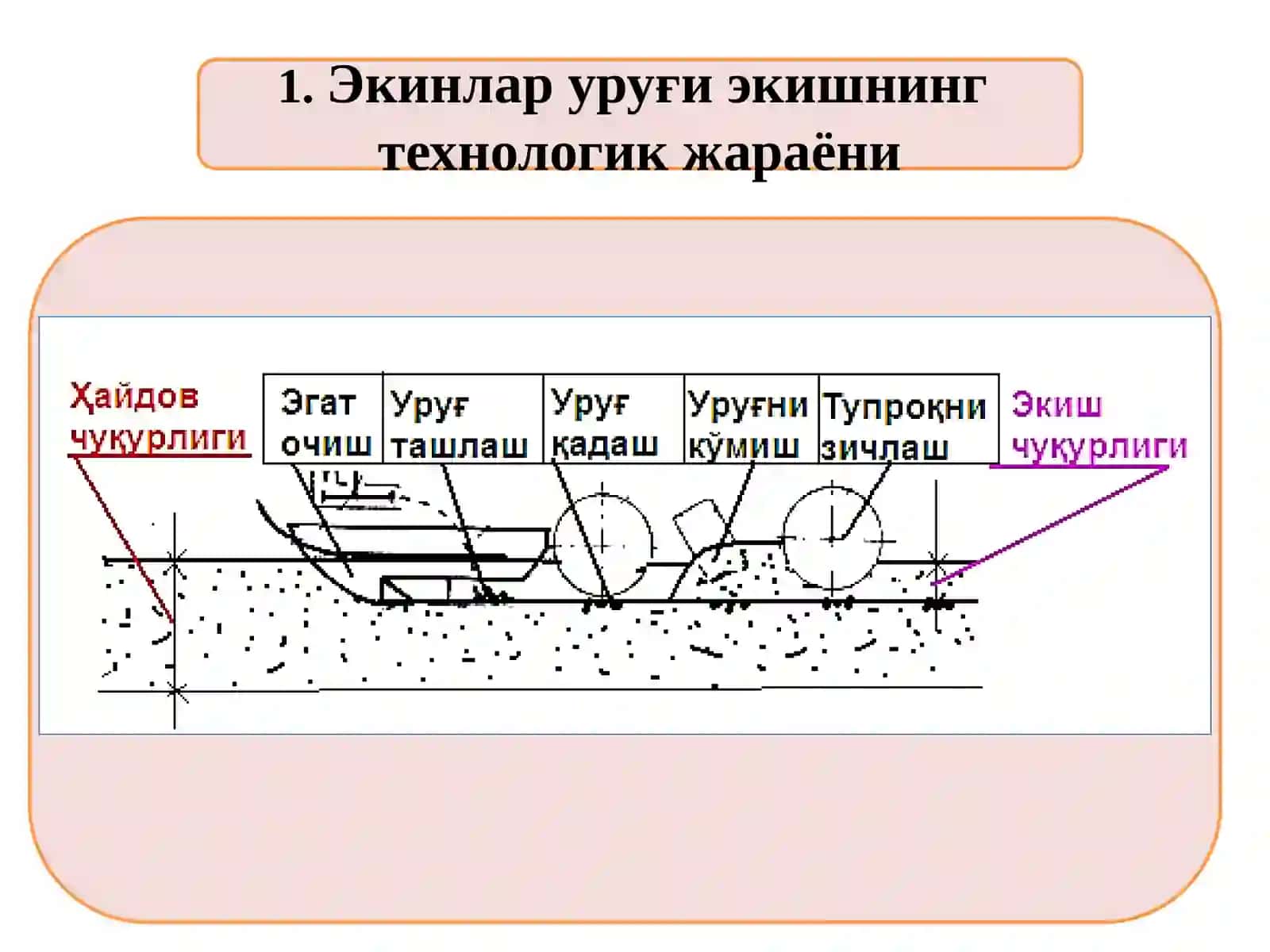Экинлар уруғини экиш ва кўчатўтқазиш 3