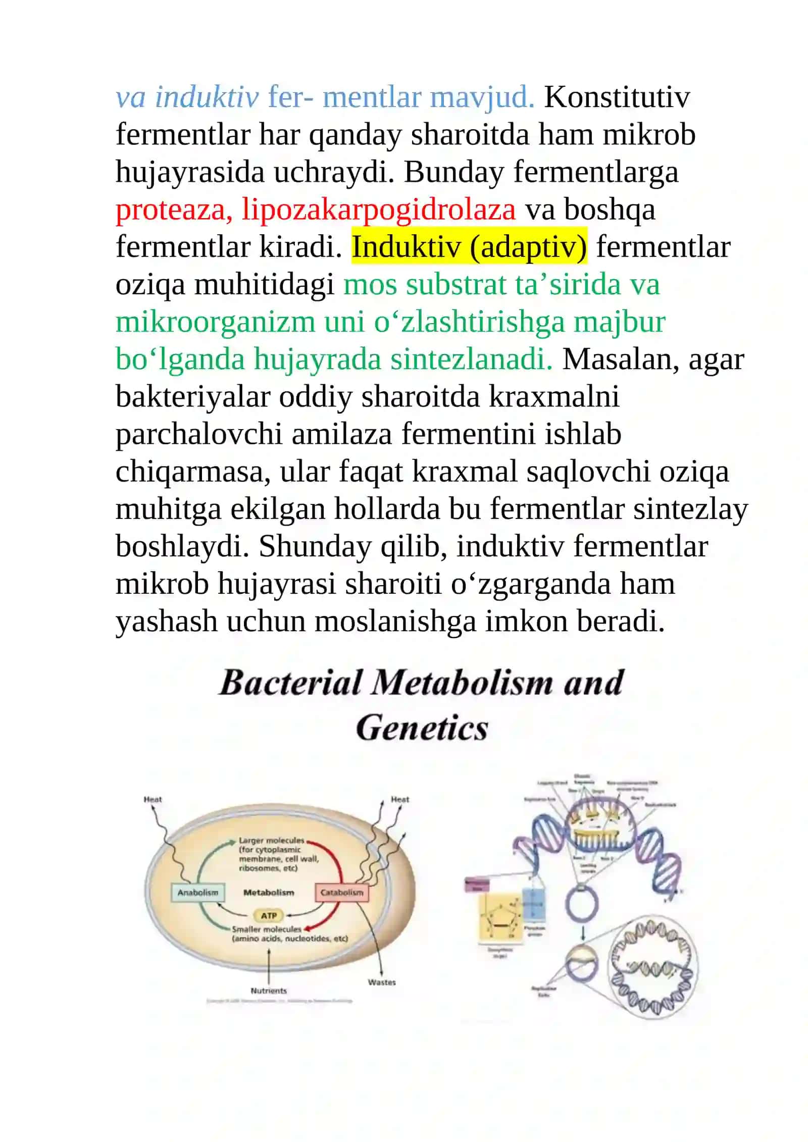 Bakteriyalarning hayot faoliyati mahsulotlari. Fermentlar, pigmentlar, toksinlar, aromatik moddalar. Mikroorganizmlarga tashqi muhit omillarning ta'siri. Dezinfeksiya va sterilizatsiya usullari. 3