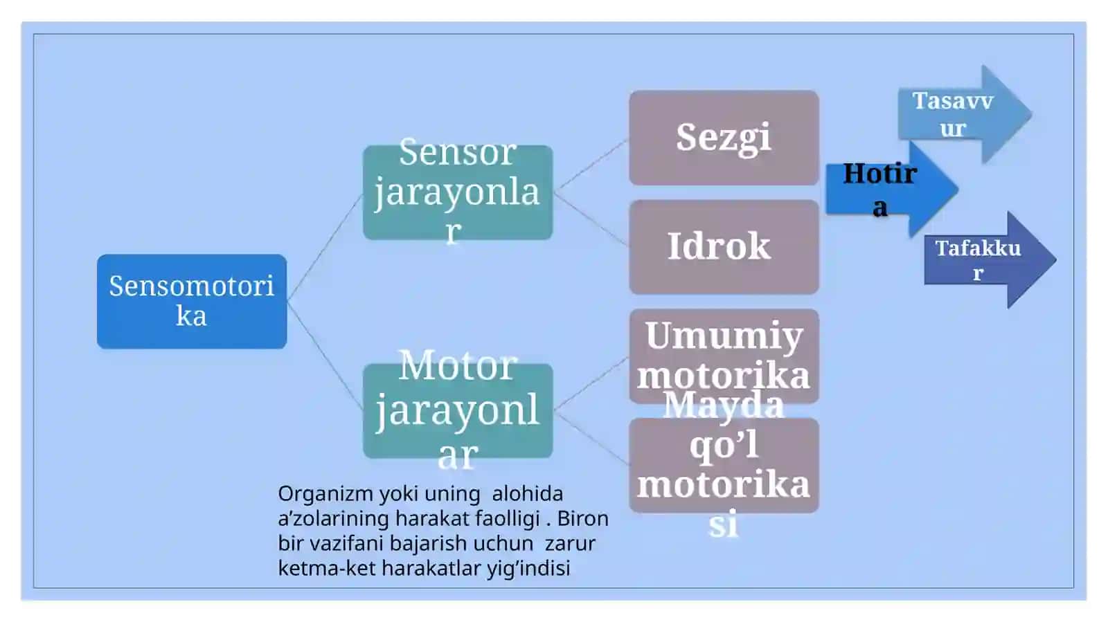 Turli nutq buzilishlarida umumiy,mayda motorikani tekshirish va rivojlantirish texnologiyasi 3