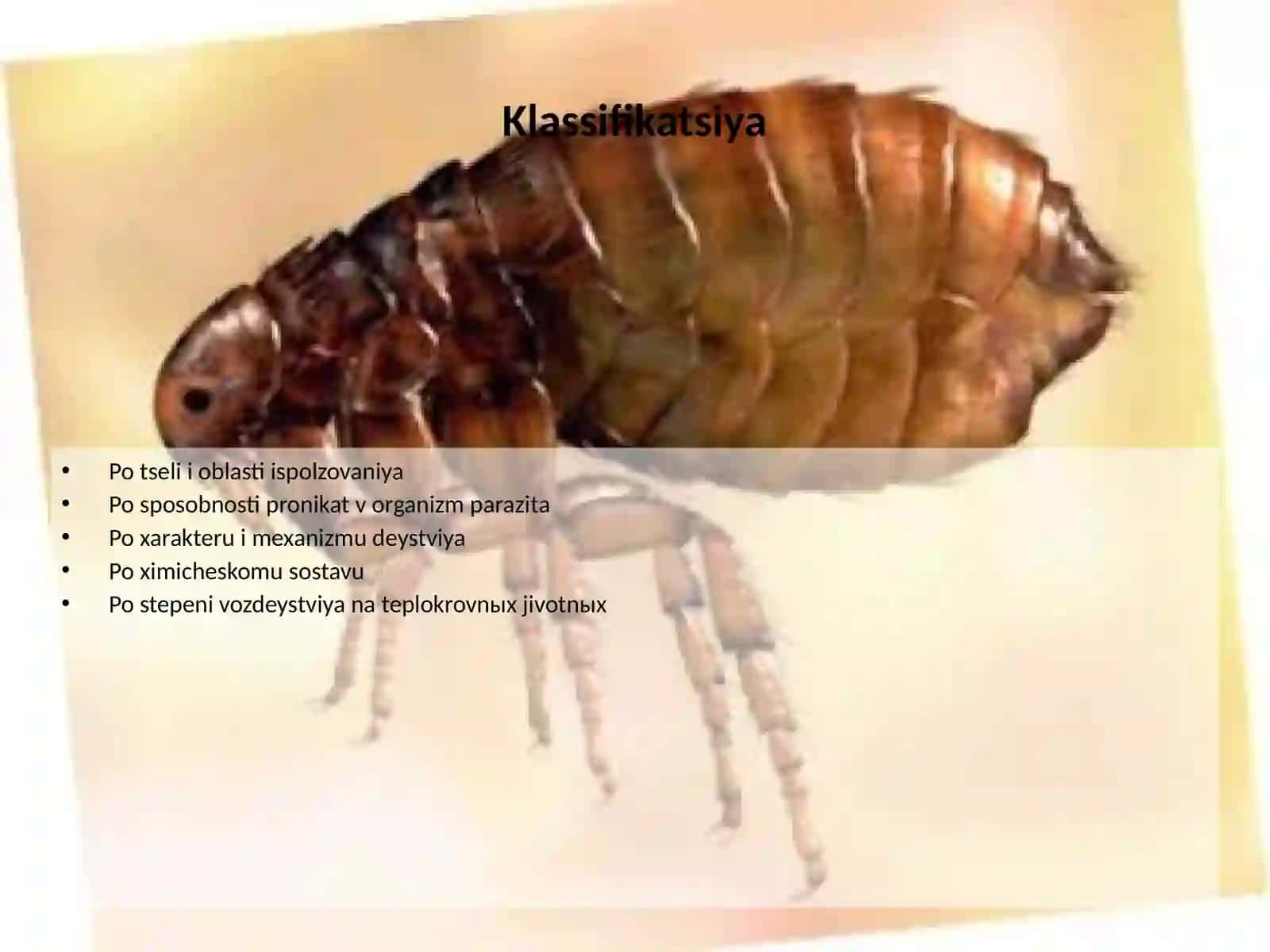 Insektoakaritsidlar va rodentsidlar xarakteristikasi 3