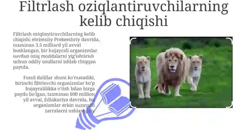 Filtrlash oziqlantiruvchilarning kelib chiqishi 3