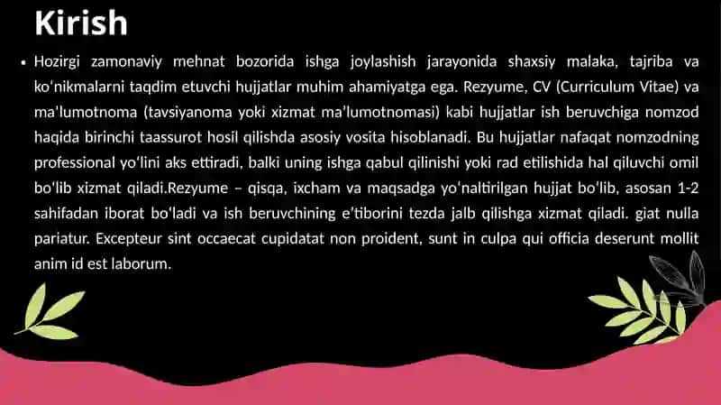CV (Curriculum Vitae) 3