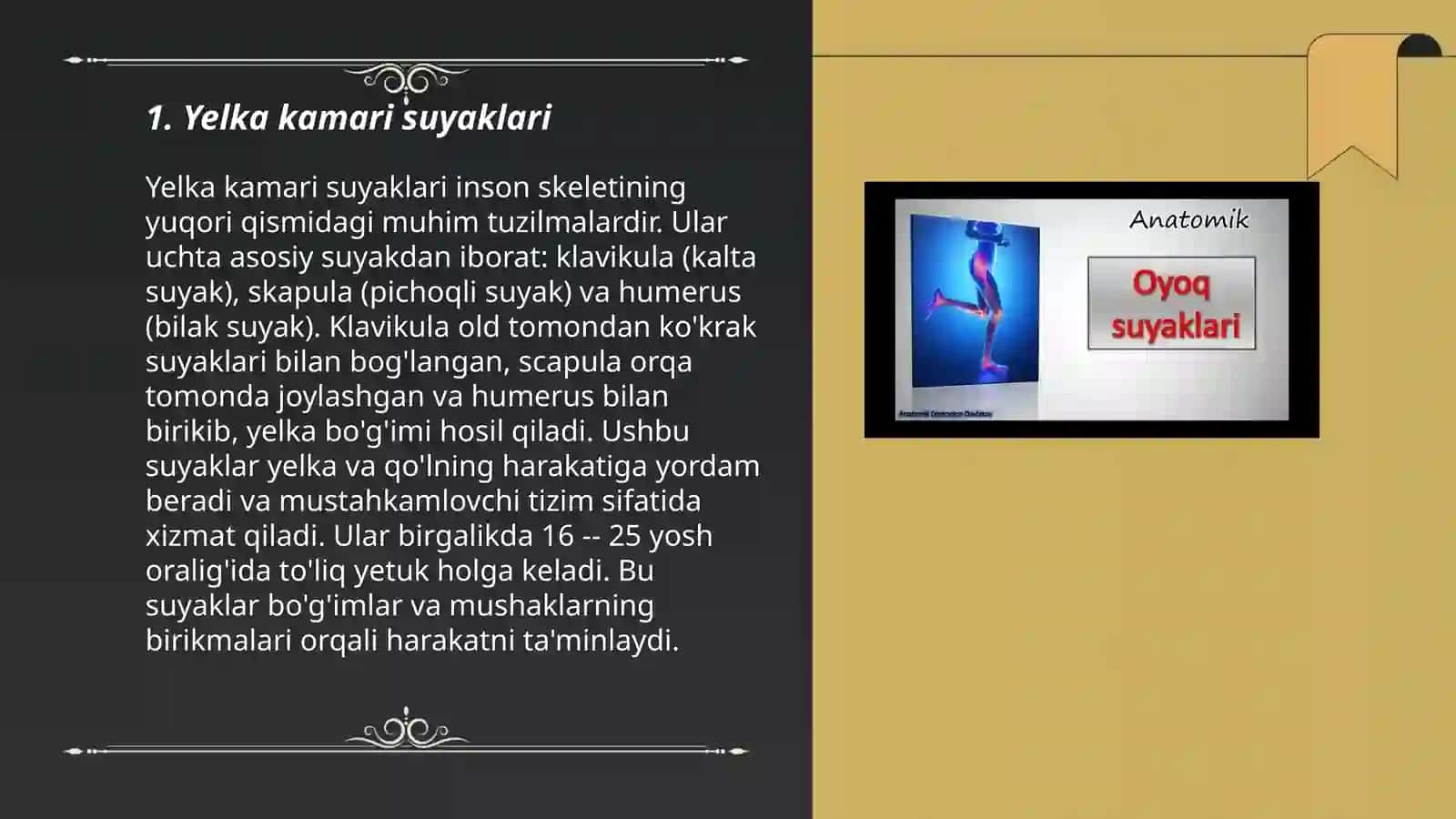 Yelka kamari va qol chanoq kamari va oyoq erkin qismi suyaklari 3