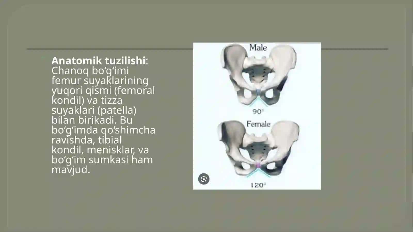 Chanoq suyagining individual xususiyati. Sport va mehnatning tos va oyoq suyaklariga tasiri 3