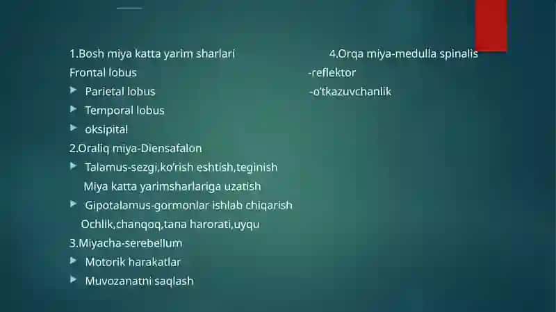 Bosh miyya turli bo’limlari faoliyatini o’raganish.Bosh miya yarim sharlar po’stlog’iningfiziologiyasi.Bazal yadrolar’Oraliq miya va miyacha fiziologiyasi. 3