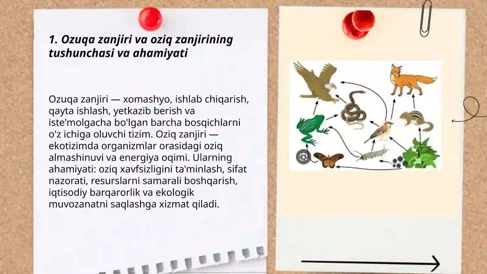 Ozuqa zanjiri va oziq zanjirini tuzish 3