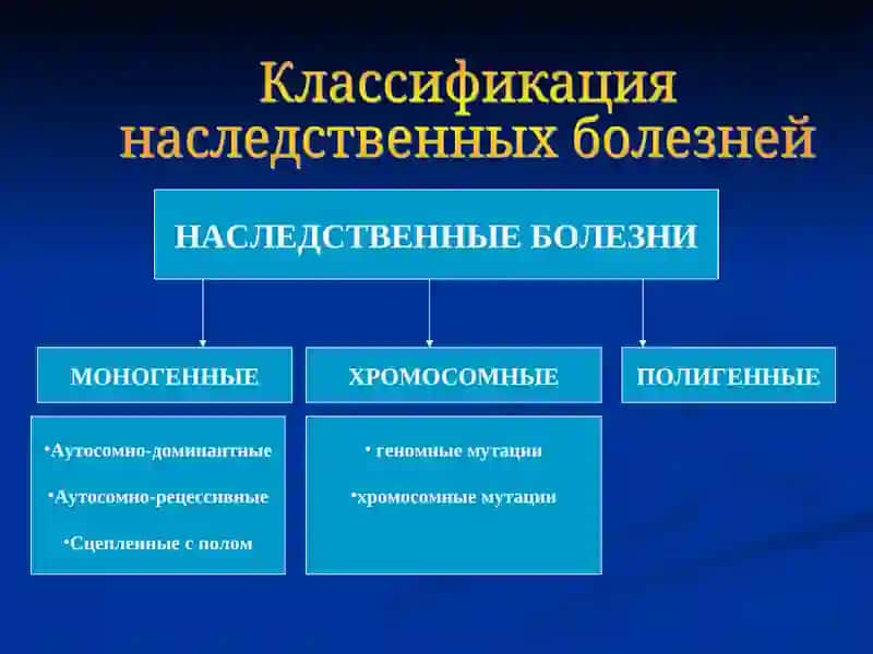 Наследственные болезни человека 3