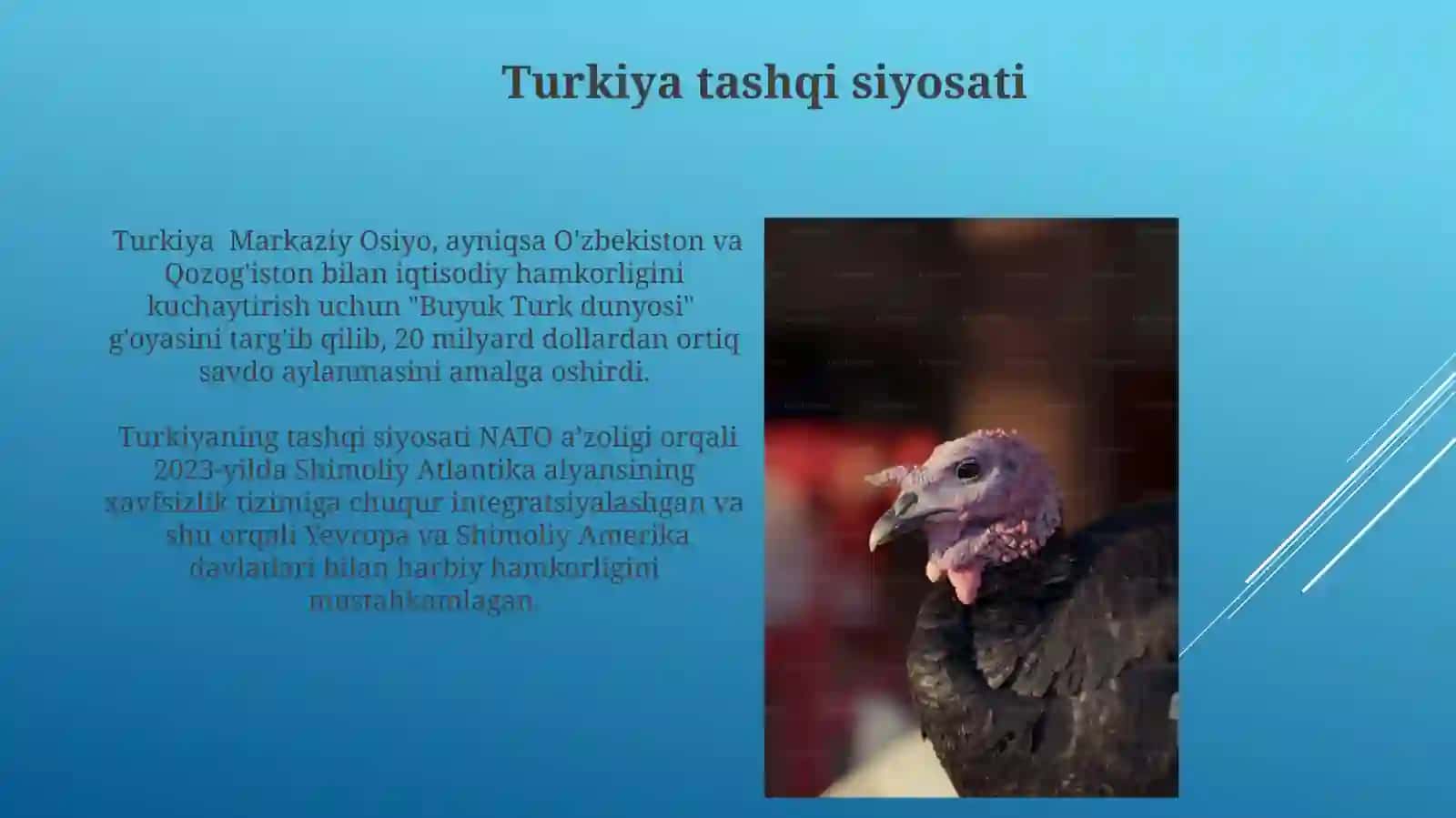 TurkiyaHitoy 3