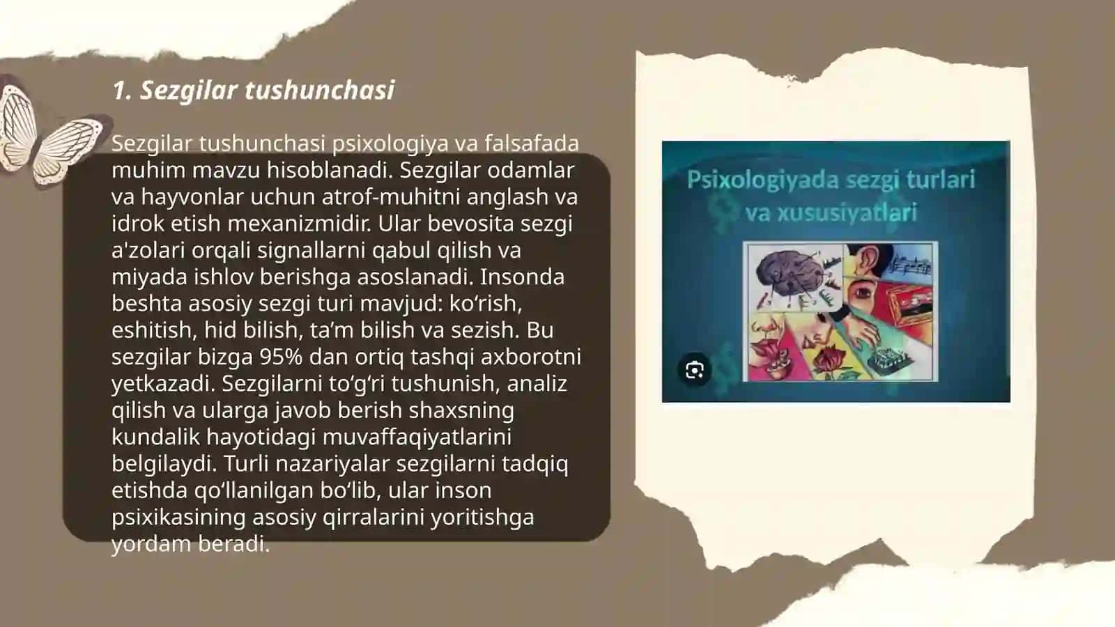Sezgilar haqida umumiy tushuncha va uning nerv fiziologik asoslari 3