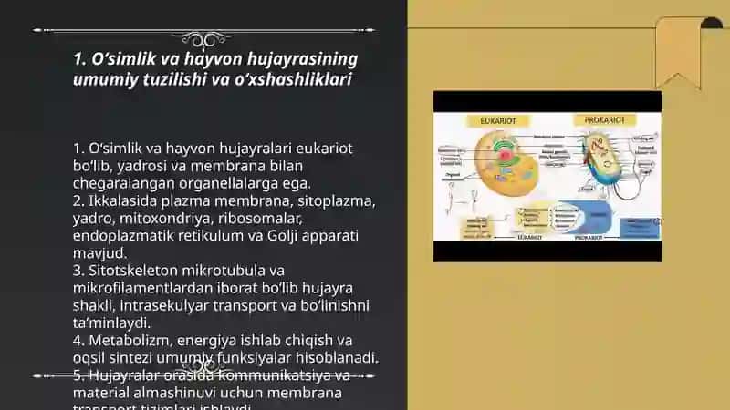 O’simlik va hayvon hujayralari o’xshashligi va farqi 3