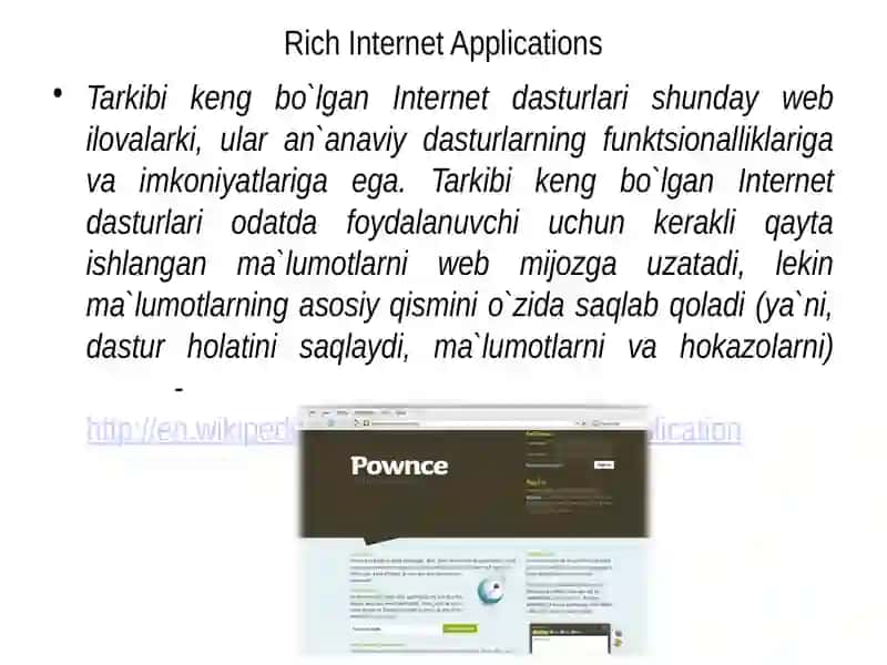 Rich Internet Applications 3