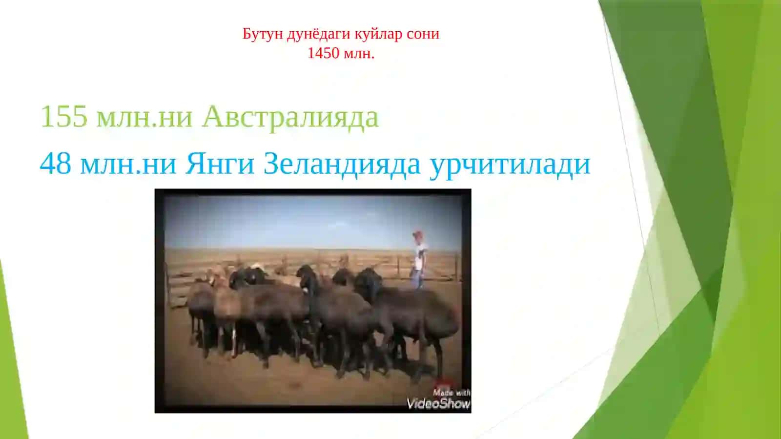 ҚЎЙЧИЛИКНИНГ АХАМИЯТИ 3