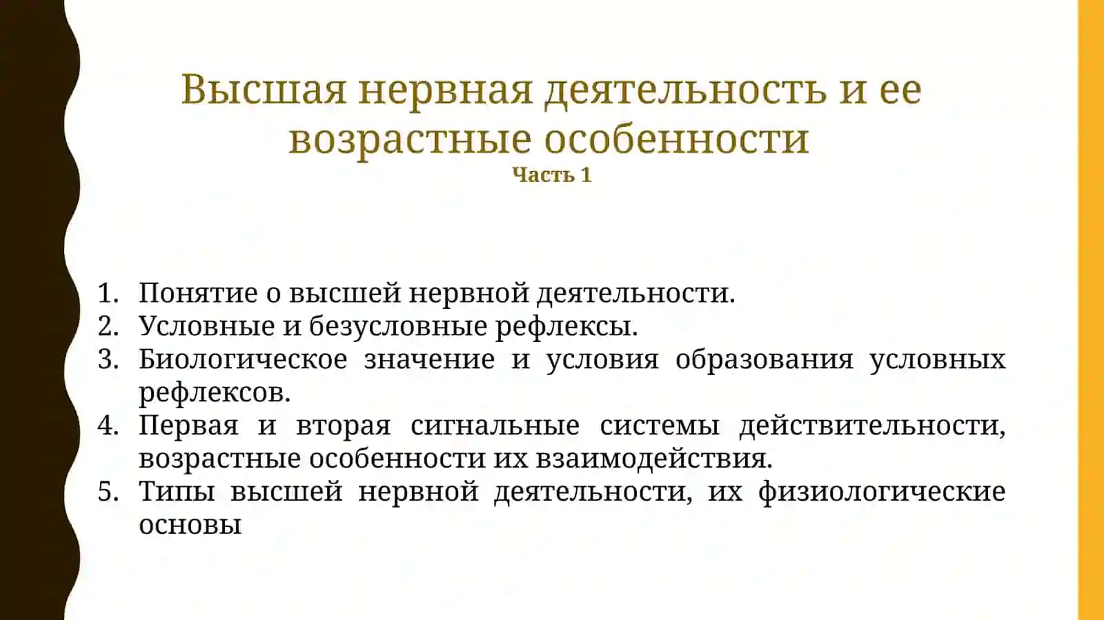 Высшая нервная деятельность и ее возрастные особенности 3