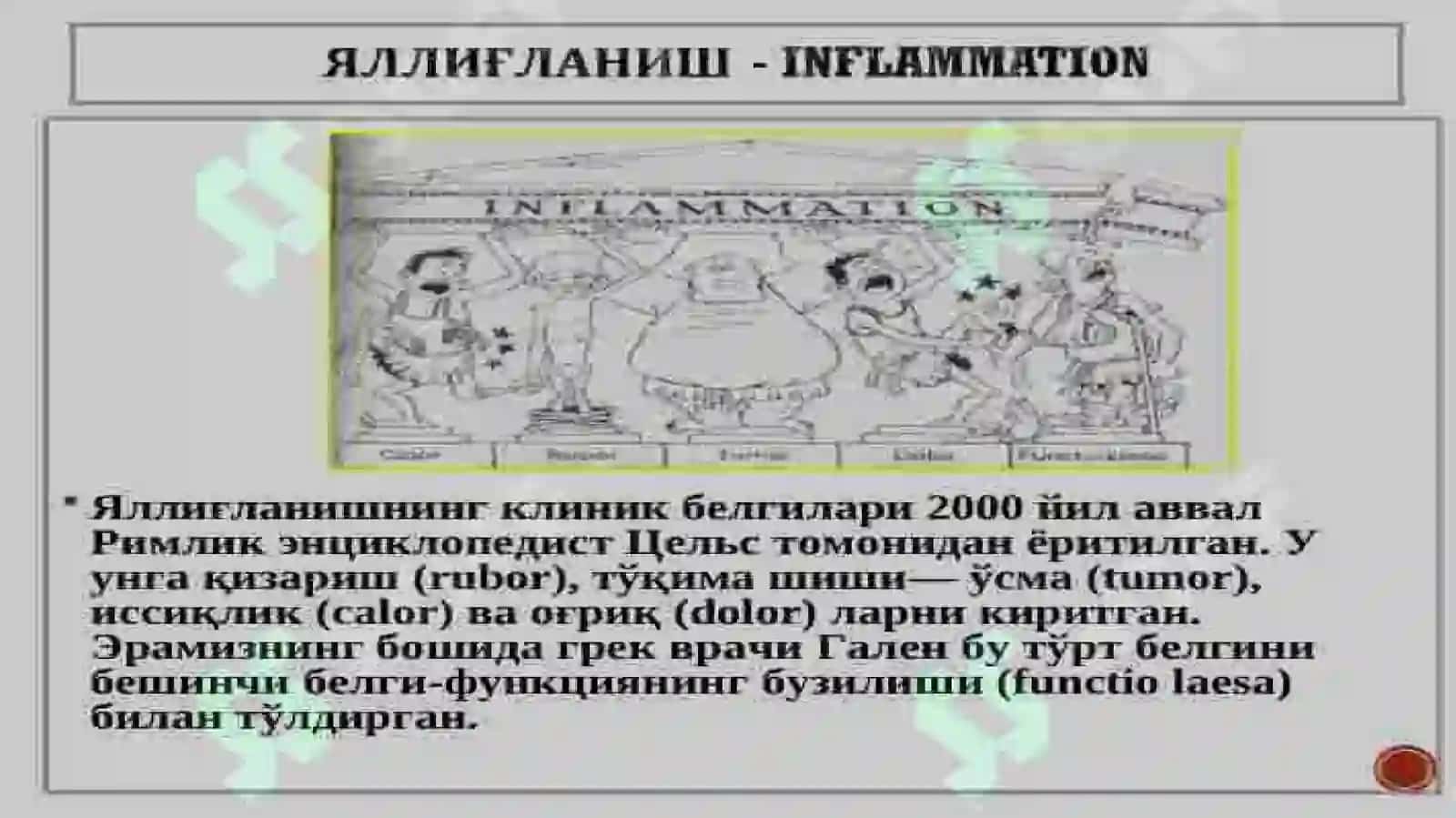 Яллиғланишли касалликларни номлаш 3
