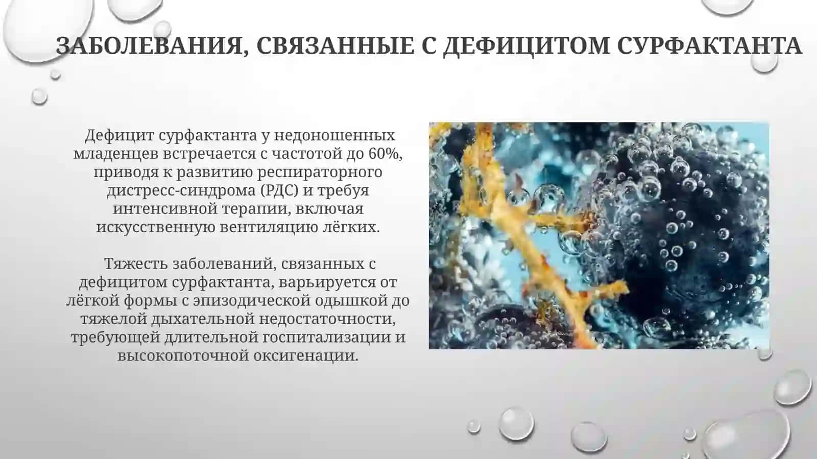 Система сурфактанта: состав и механизм действия 3