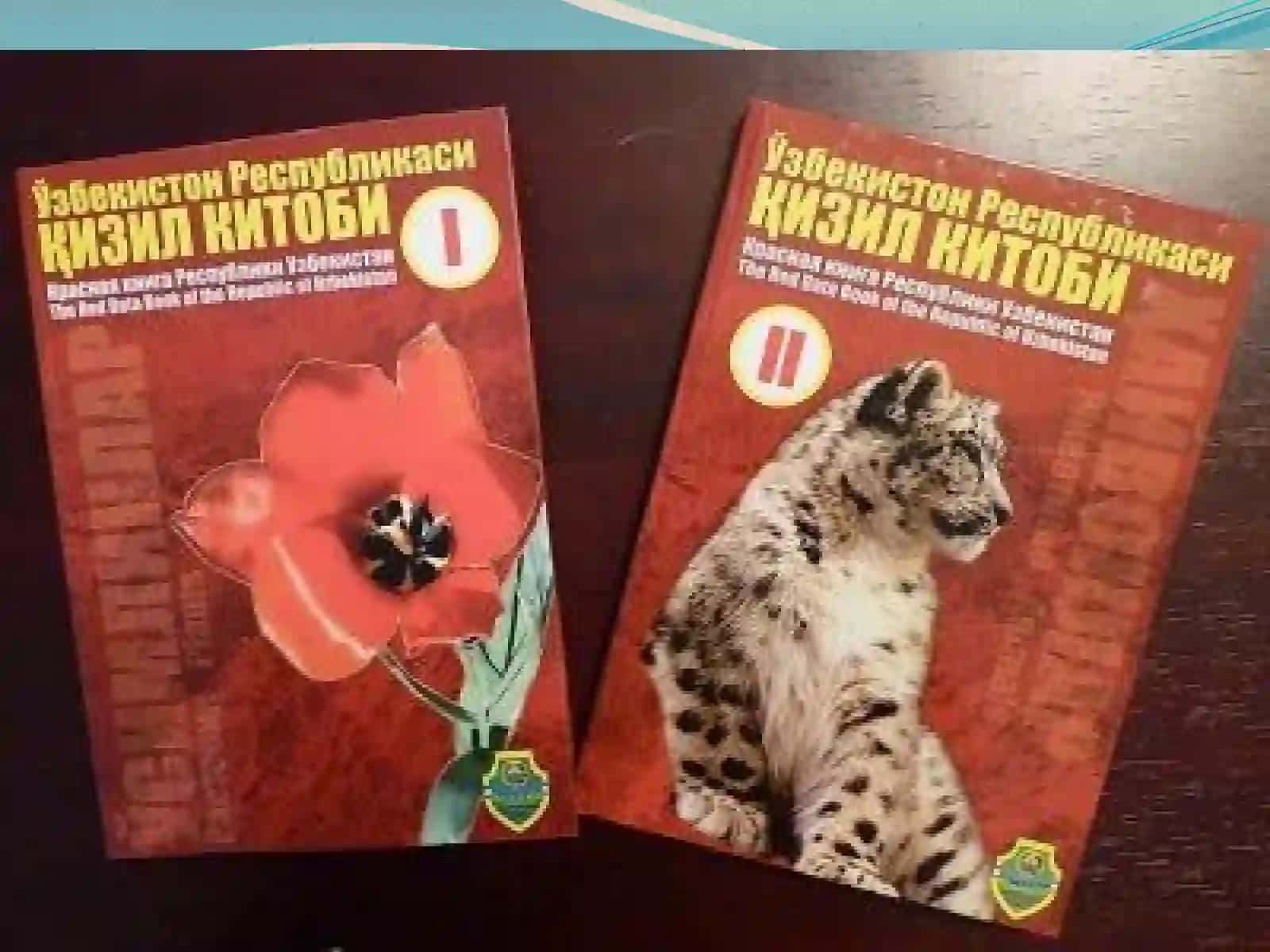 Qizil kitob 3