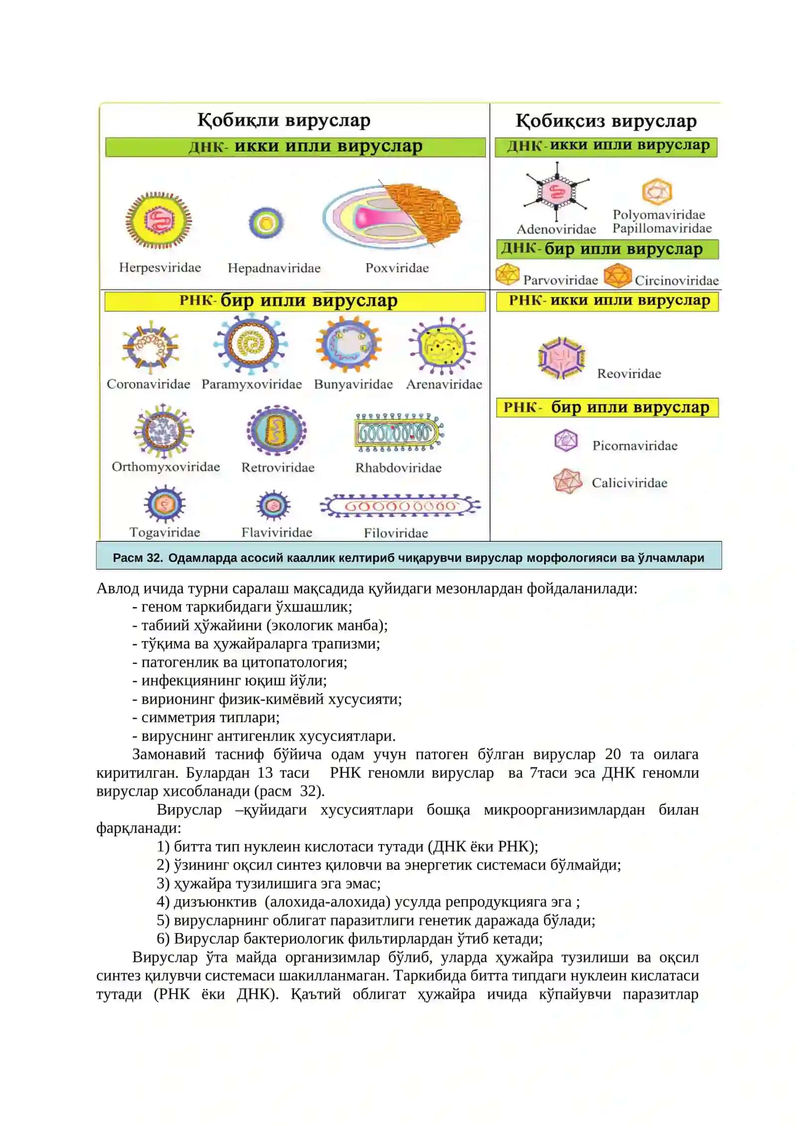 Умумий вирусология. Бактериофаглар 3