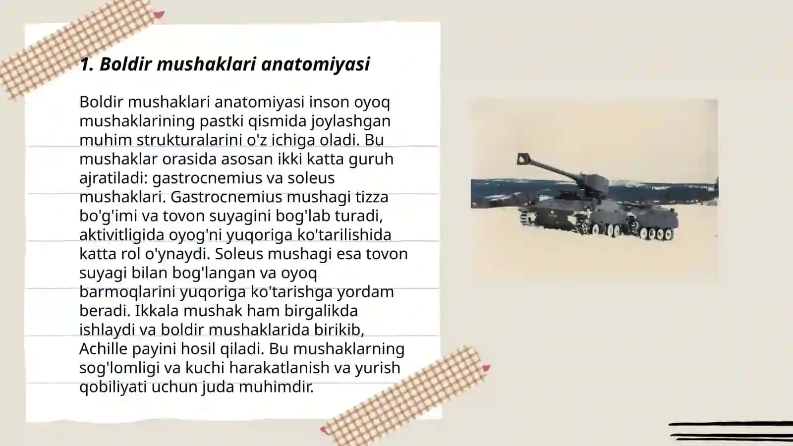 Boldir mushaklari anatomiyasi 3