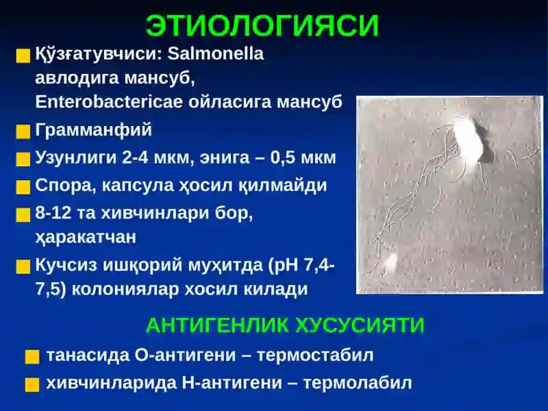 Сальмонеллёзлар 3