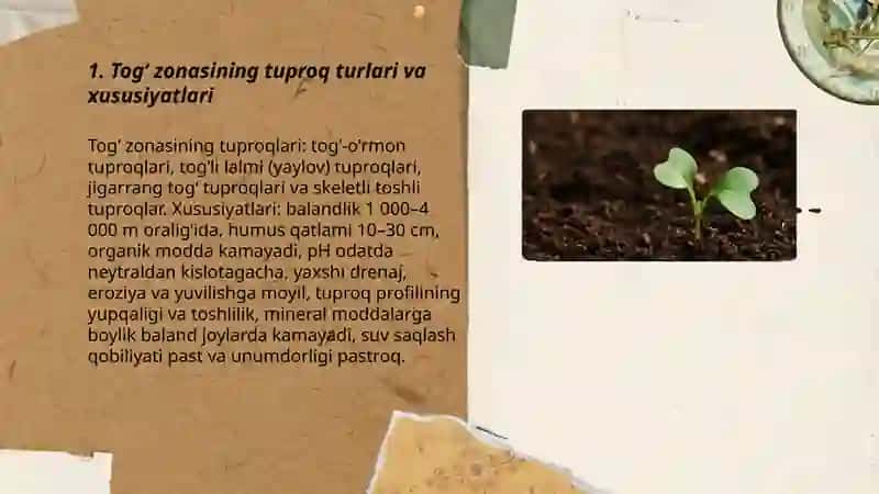 Togʻ va choʻl zonasining tuproqlari.Lalmi va yaylov yerlarining unumdorligi 3