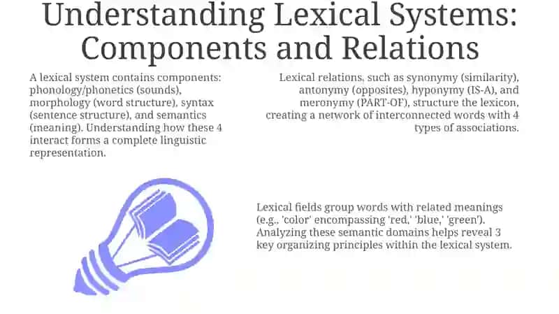 Typology of lexical systems 3