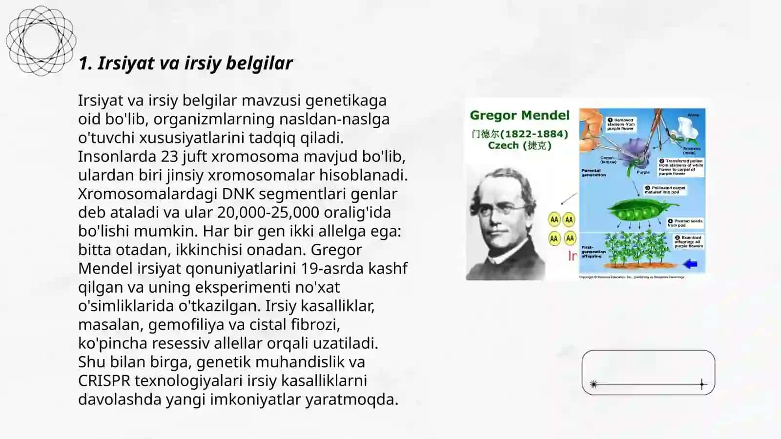 Irsiyat va irsiy belgilar 3