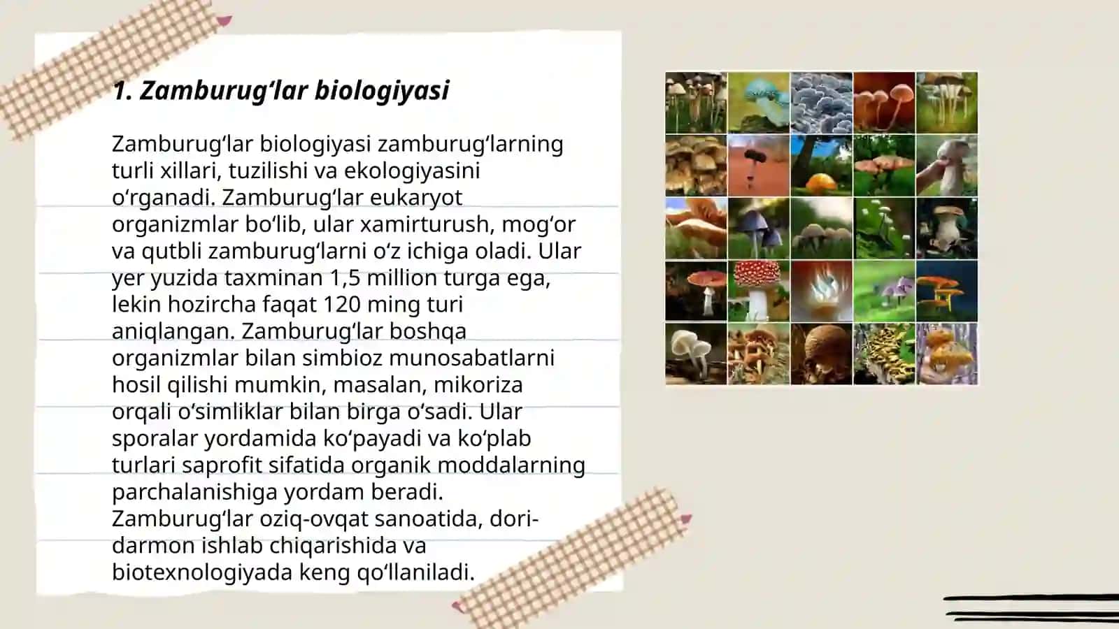 Zamburugʻlar biologiyasi 3