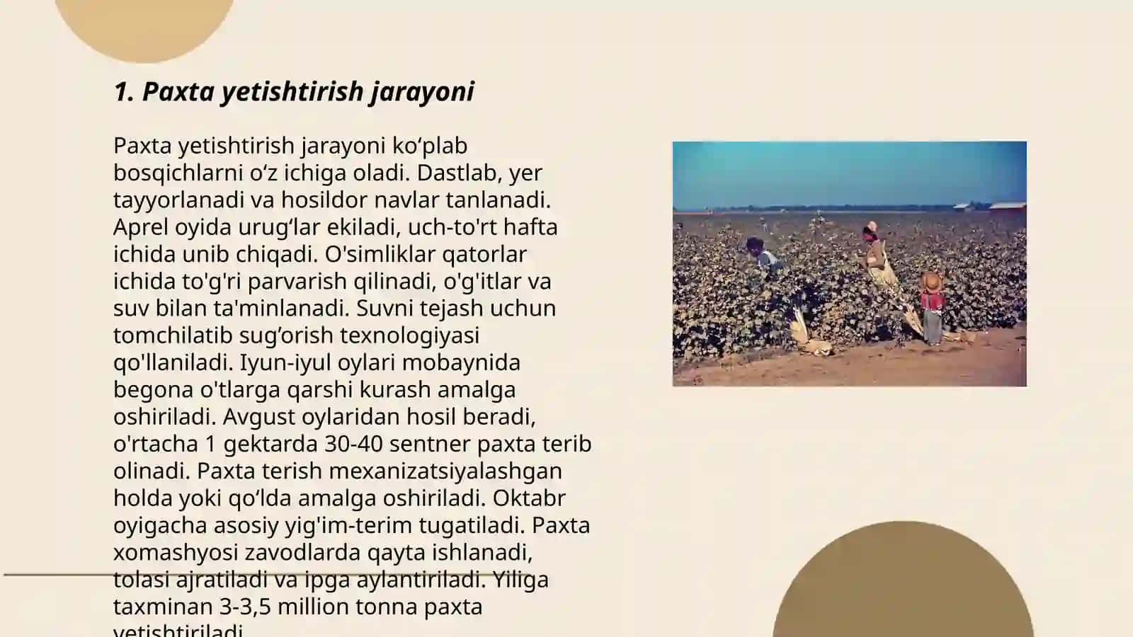 Paxta terimi 3