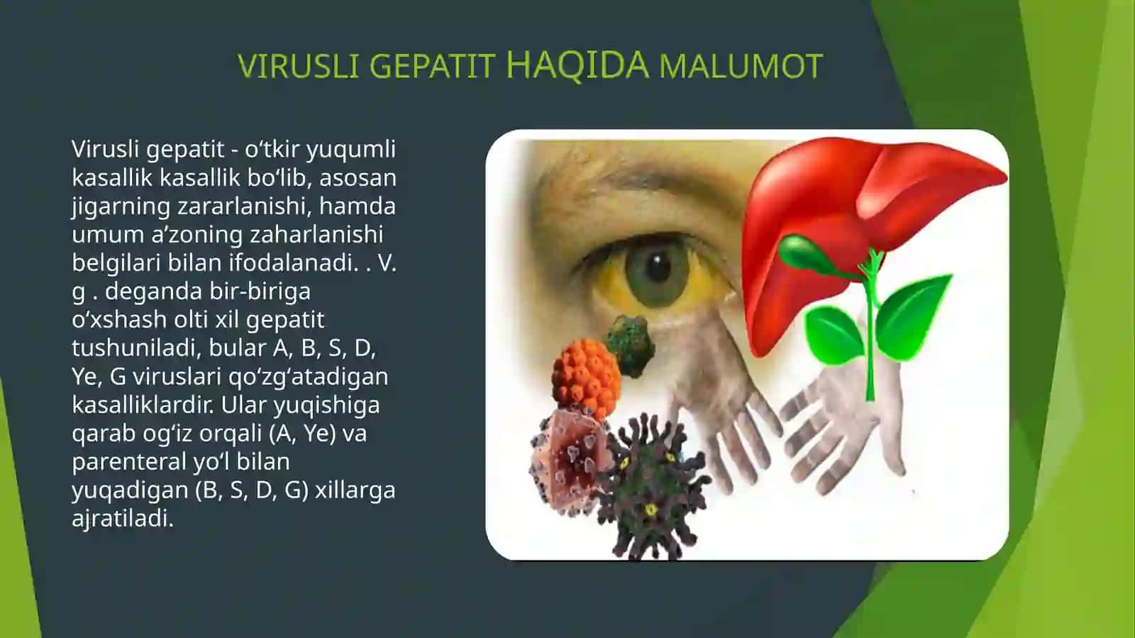 Virusli gepatit 3