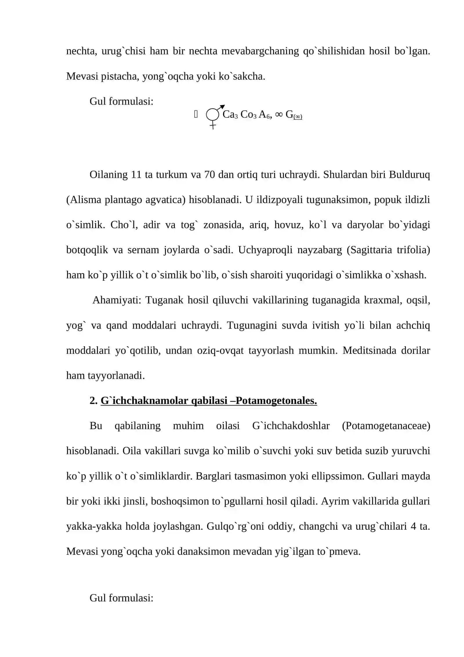 Bir pallali yoki Lolasimon o`simliklar sinfi-Monocotyledonae yoki Liliopsida 3