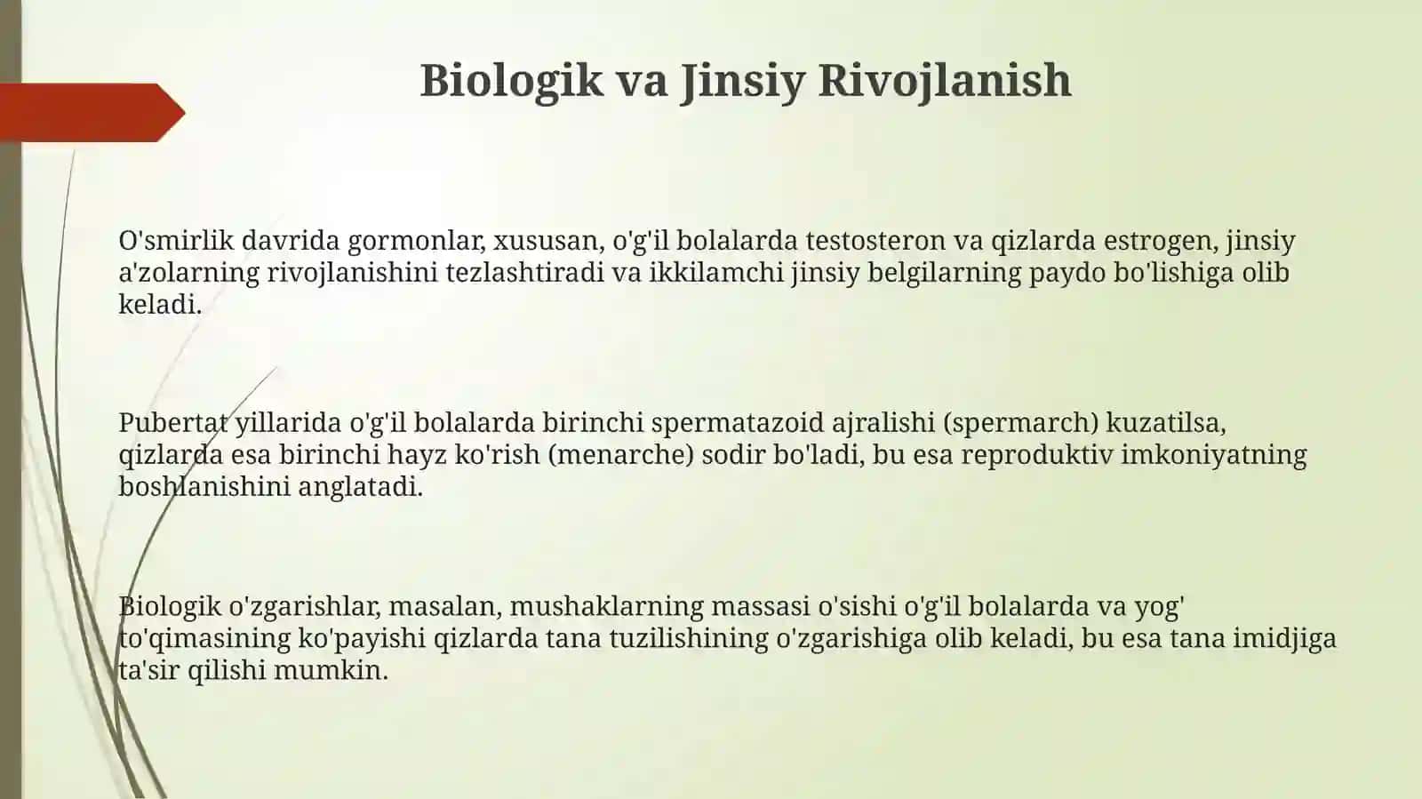 Oʻspirinlik davri 3