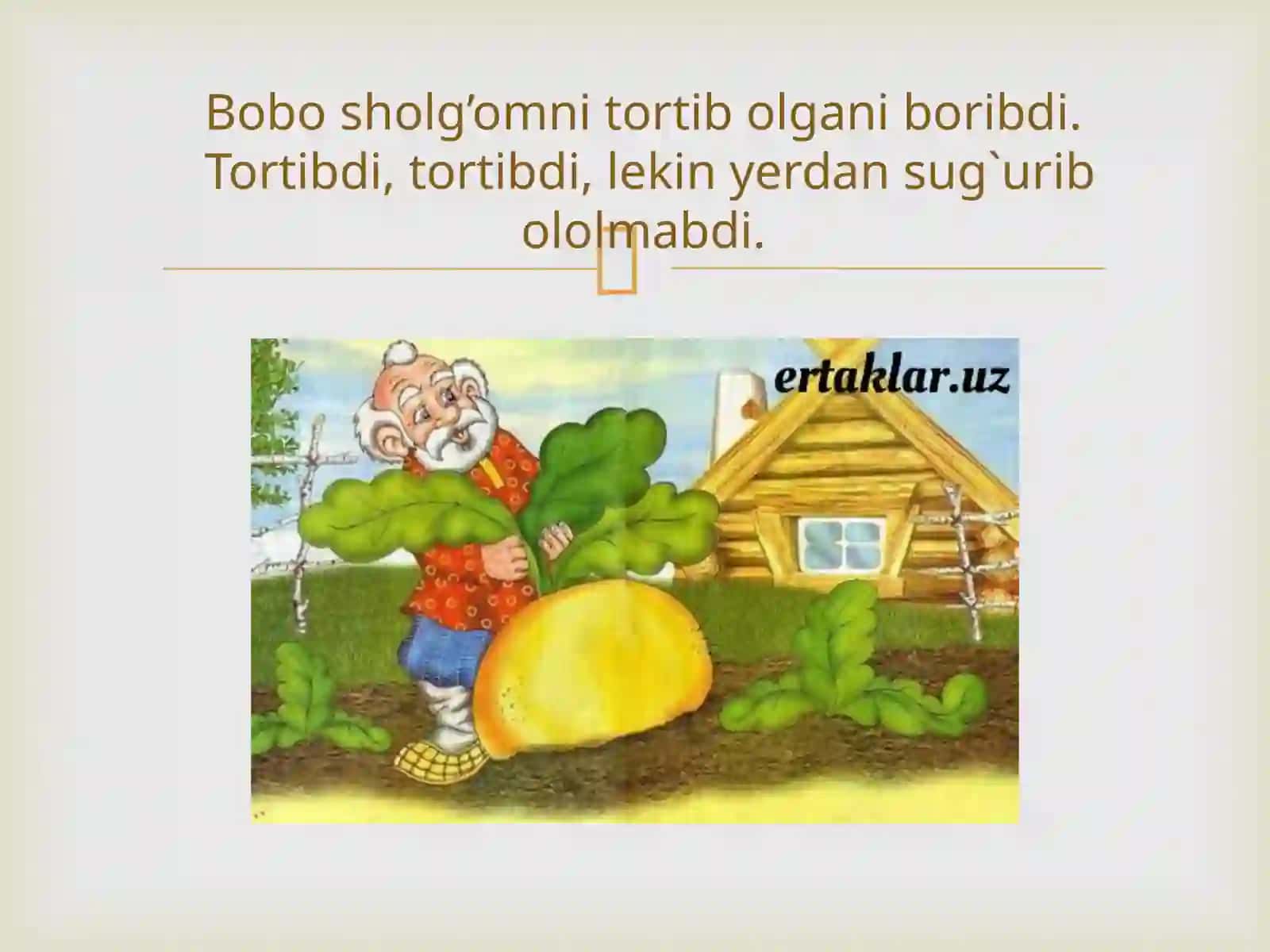 Sholg’om 3