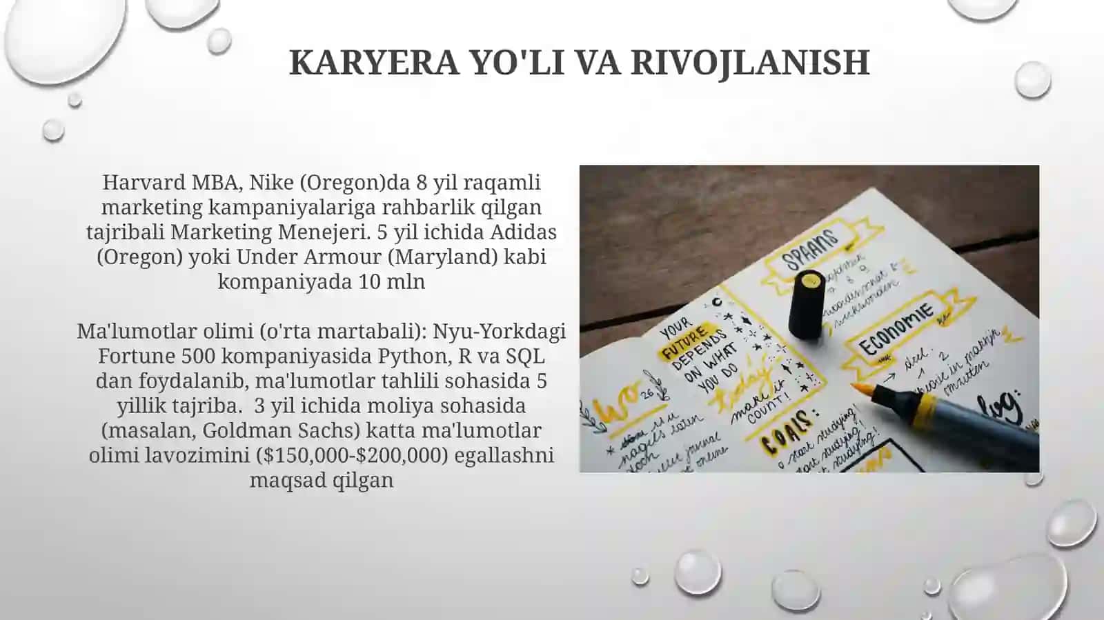 Karyera yo'li va rivojlanish 3