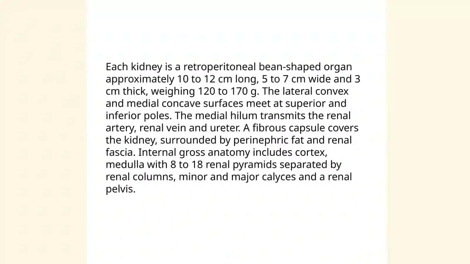 Kidneys 3