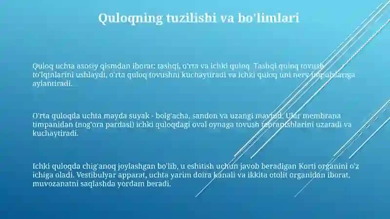 Sezgiaʼzolari.Quloqgistologiyasi 3