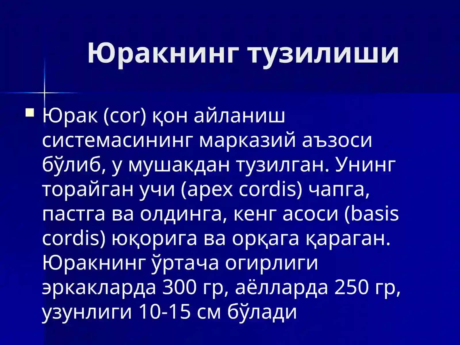 Юрак, қон айланиш доиралари, юракнинг ёшга қараб ўзгариши 3