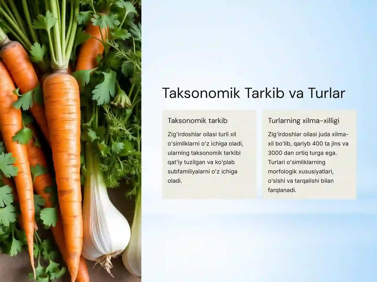 Zig'irdoshlar Oilasi: Biologiyasi, Ekologiyasi, Areali va Ahamiyati 3