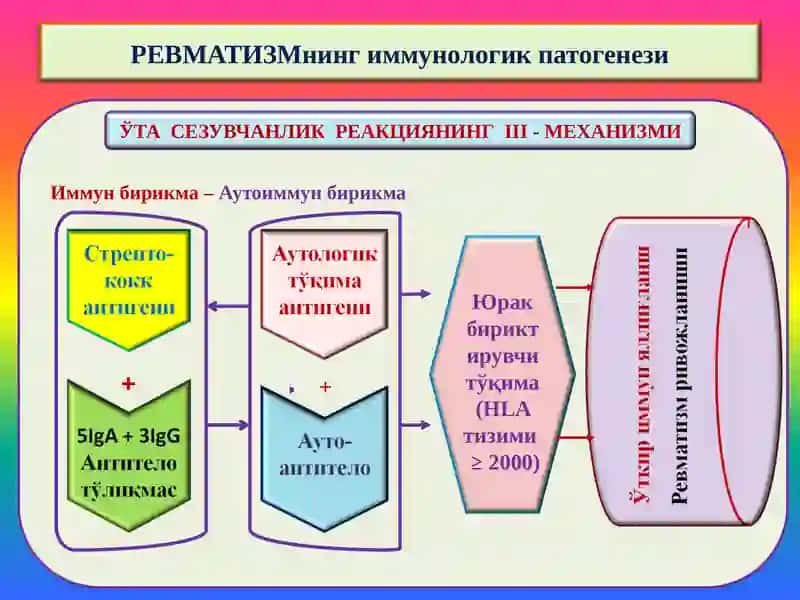 РЕВМАТИК КАСАЛЛИКЛАР 3