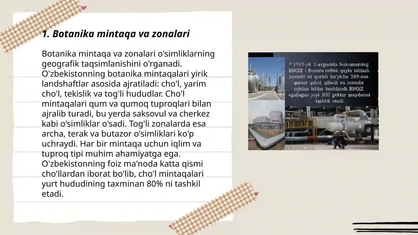 Botanika mintaqa va zonalari 3
