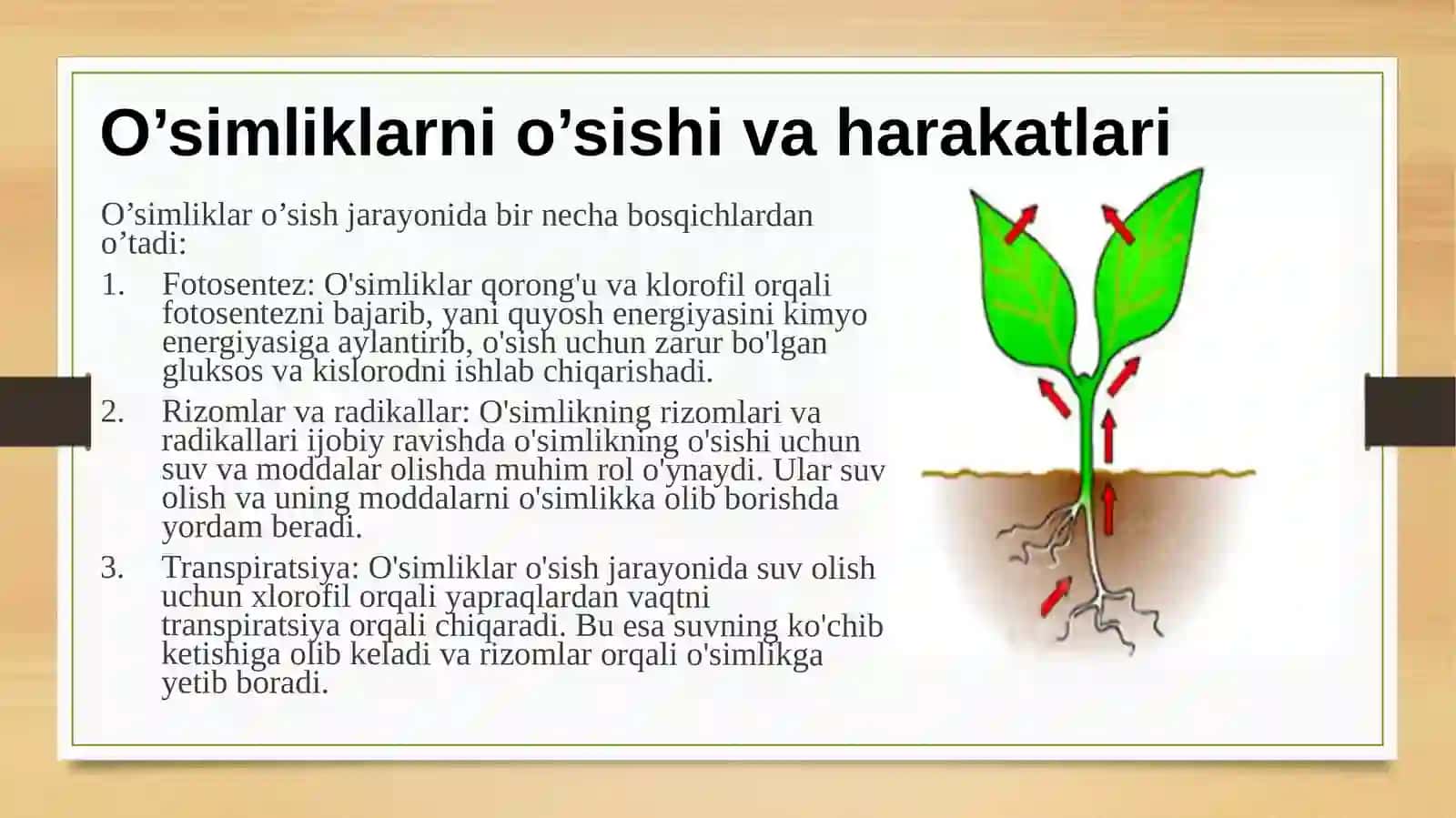 O'simliklarning o'sish harakatlari va mexanizmlari 3