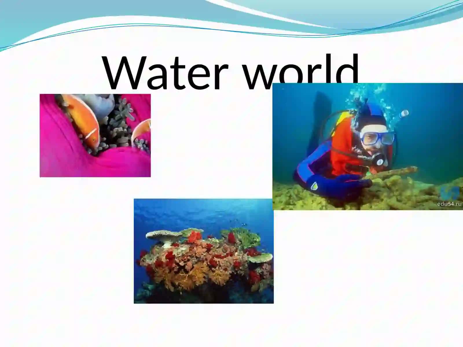 Water world 3