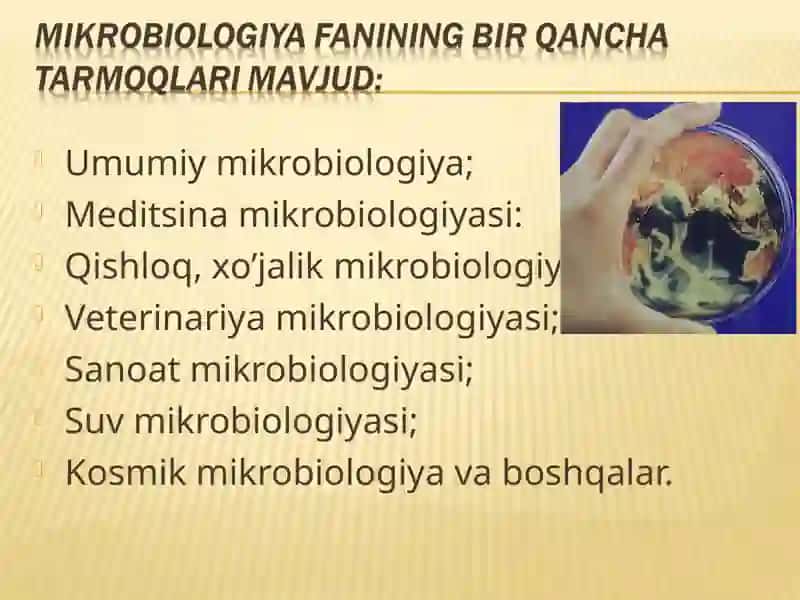 Mikrobiologiya 3