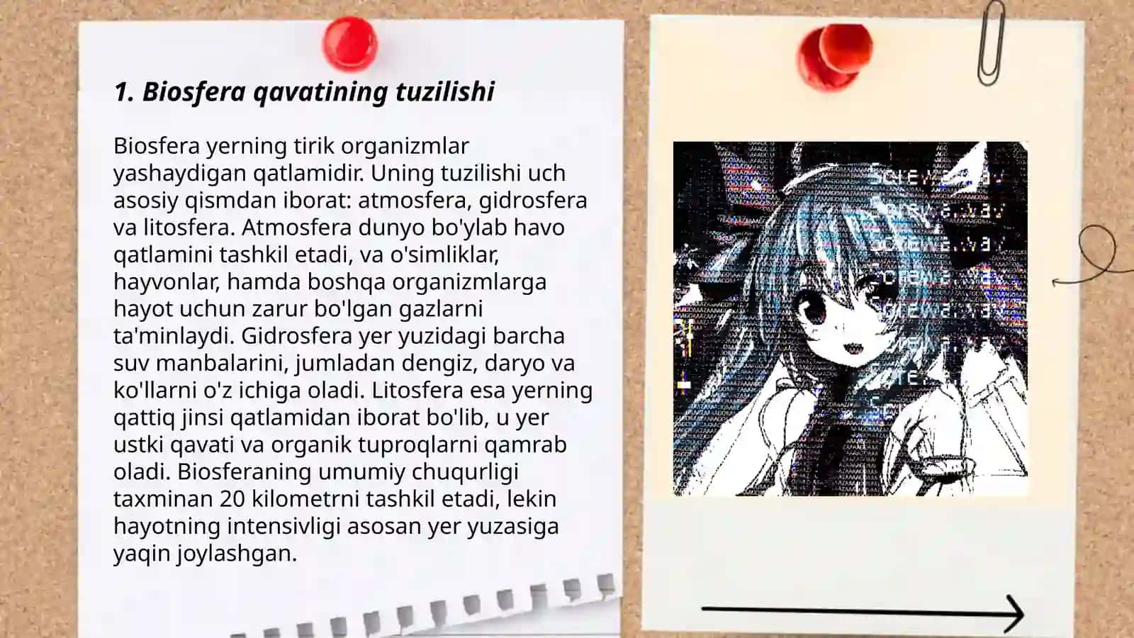 Yerning Biosfera qavati va undagi qonuniyatlari 3