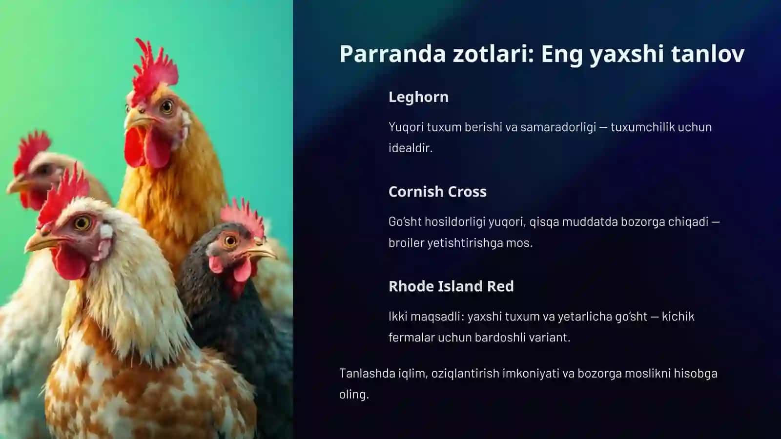 Parrandachilik asoslari 3