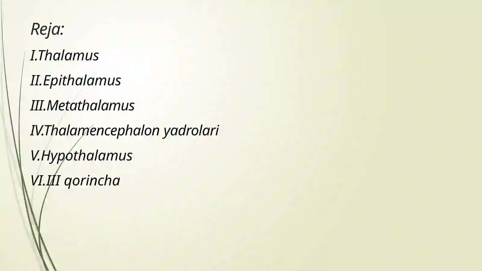 Thalamus 3