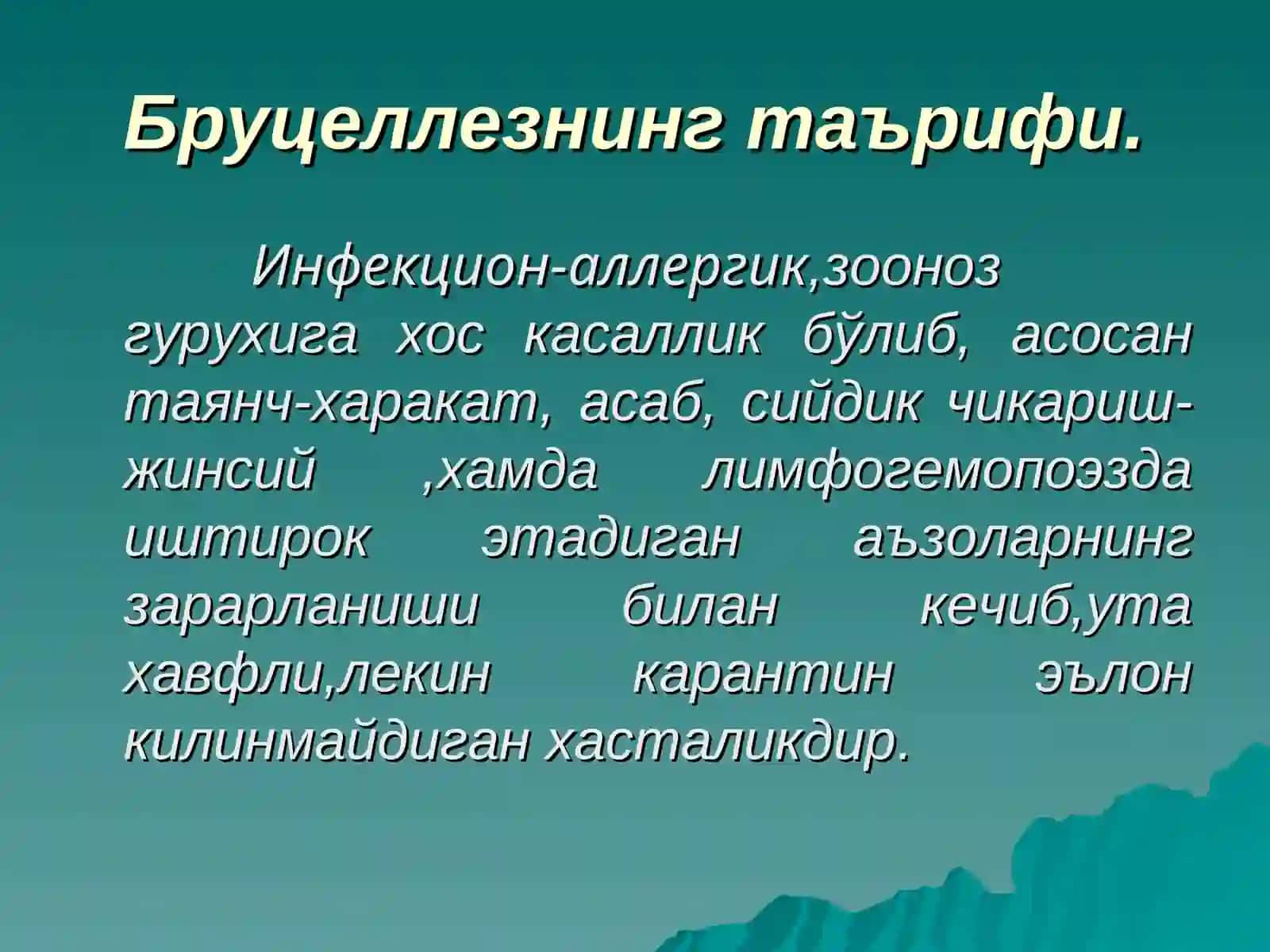 БРУЦЕЛЛЕЗ 3