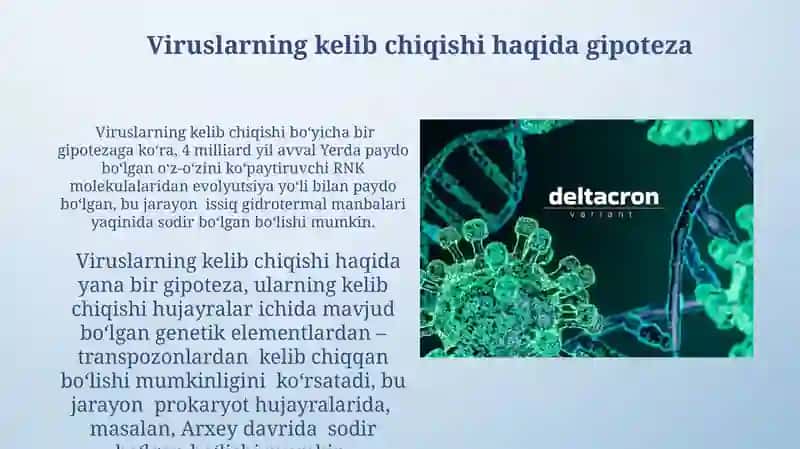 Viruslarning kelib chiqishi va ularning ahamiyati 3